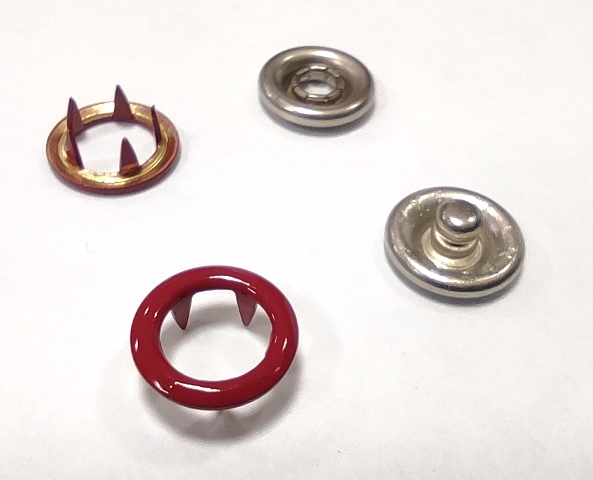 IMG_20240216_150922_1