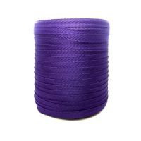 Kipernaya lenta 10m _8_535