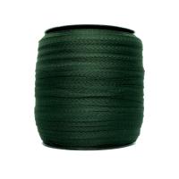 Kipernaya lenta 10m _15_561