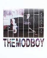 Термотрансфер аппликация многослойная арт.№05, 22см*22см