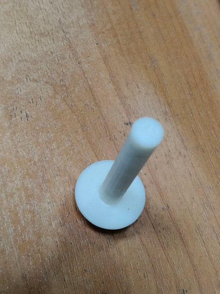 photo_475@29-09-2025_13-59-21