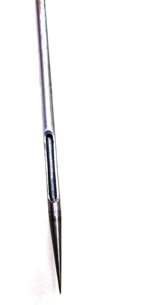 photo_470@29-09-2025_13-59-21