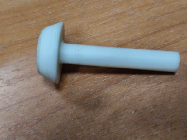 photo_476@29-09-2025_13-59-21